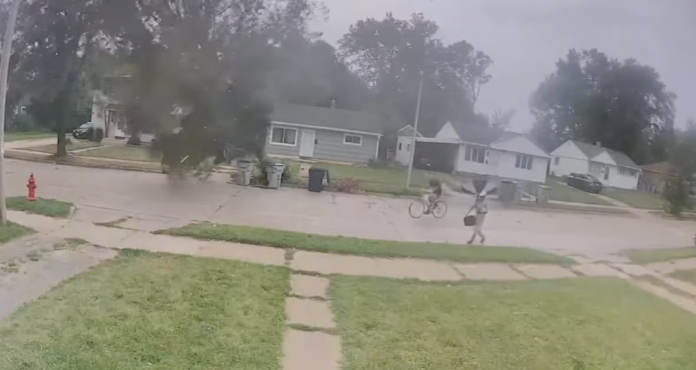 Cyclist Endos Into Fallen Tree